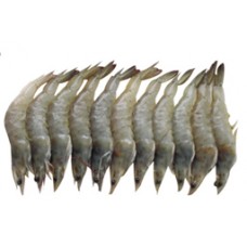 Frozen Vannamei Shrimp